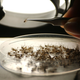 Image for article titled A Brain-Infecting Virus Carried by Mosquitoes Is Spreading Far and Wide This Year